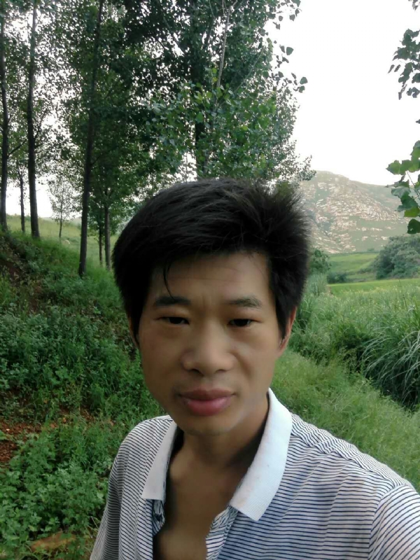 好男儿的第三张照片--河南父母相亲团